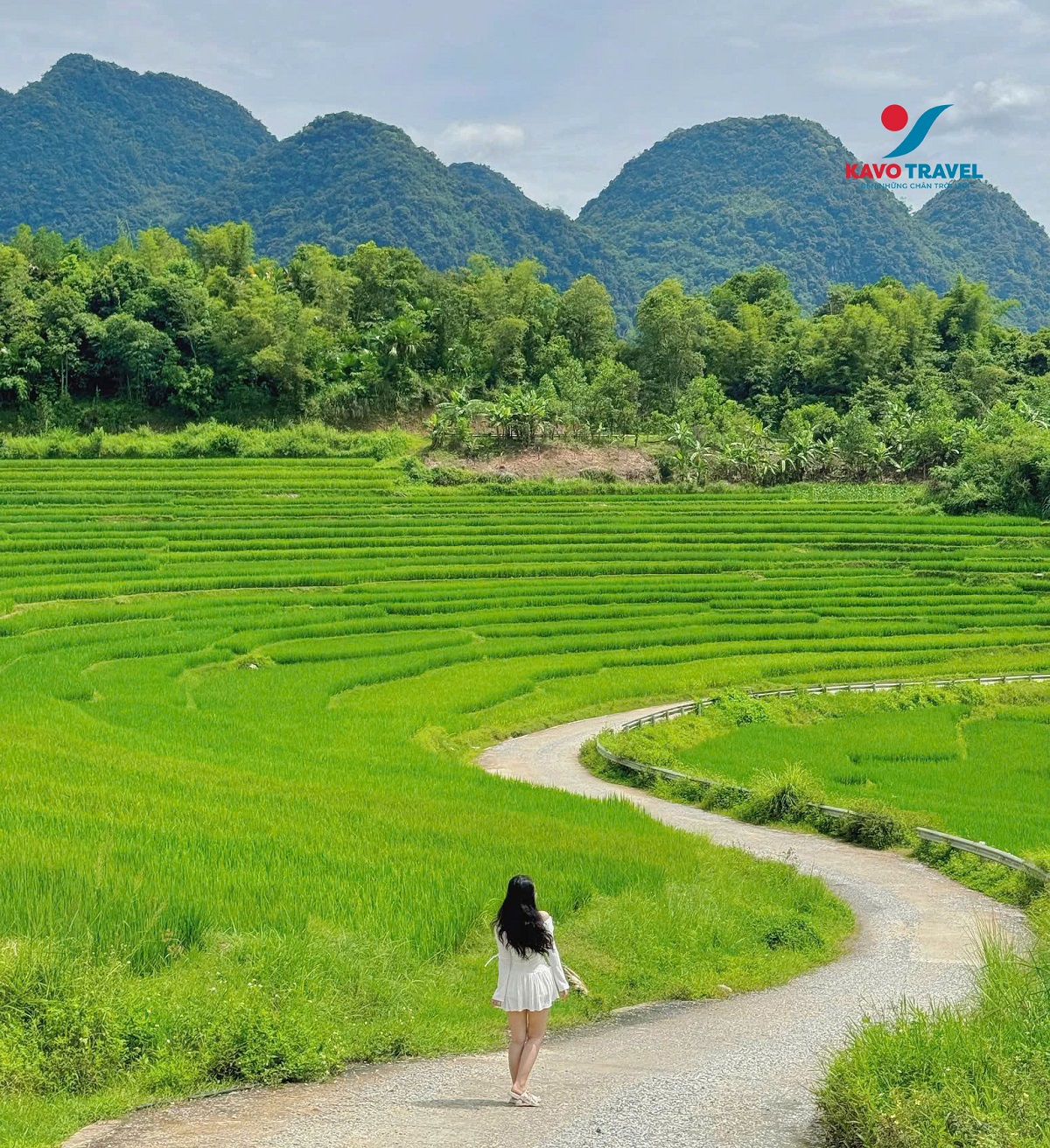 Check-in tại cung đường chữ S