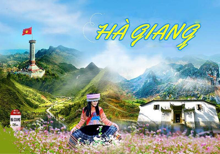 Du lịch Hà Giang tự túc hay theo tour? Lựa chọn hình thức phù hợp để tận hưởng trọn vẹn vẻ đẹp vùng cao.